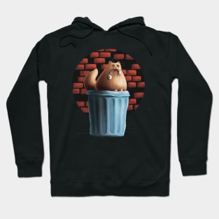 Trashcan Cat Hoodie